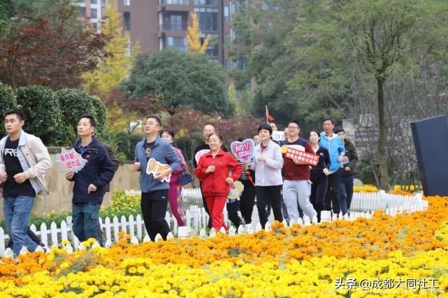 黨建引領(lǐng)丨雙小柏與你一起乘風(fēng)破浪走過的2020