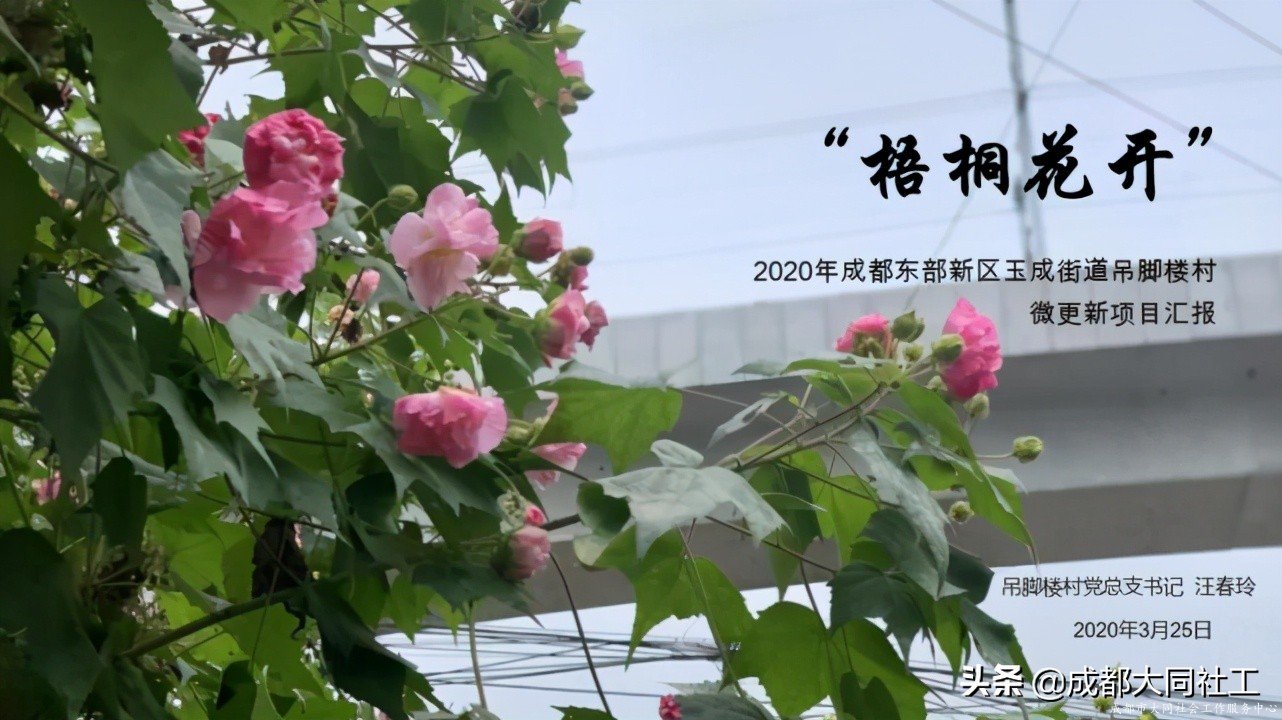 「活動(dòng)回顧」微更新 促發(fā)展 激活力