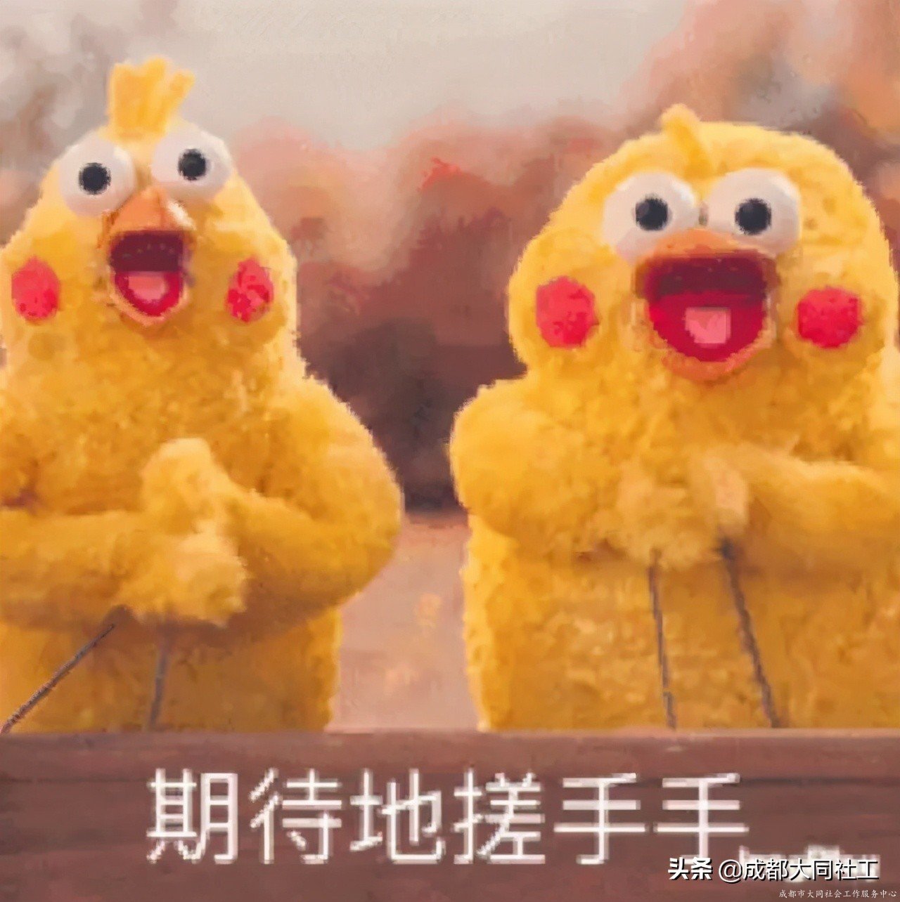 「活動(dòng)回顧」小集市，大熱鬧，書(shū)院社區(qū)“月伴集市”開(kāi)市啦
