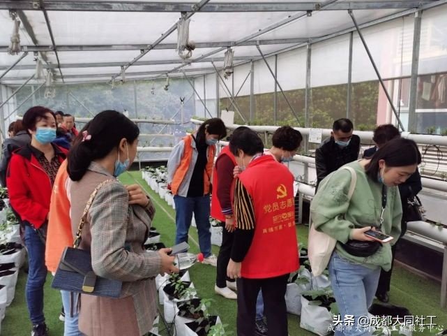 「活動(dòng)回顧」中壩社區(qū)院落治理參訪活動(dòng)