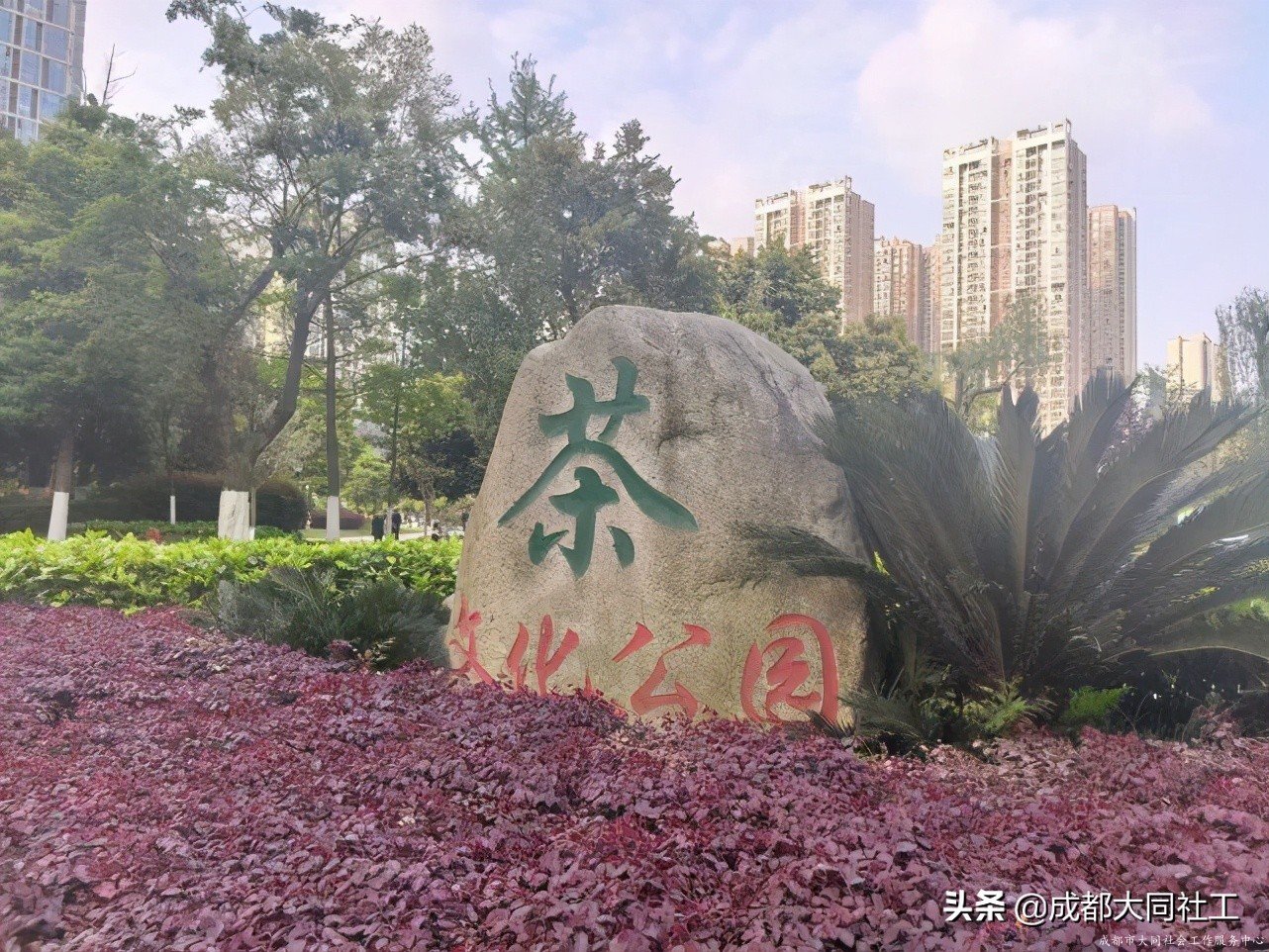 社工·社治|平臺(tái)對(duì)接——推進(jìn)天府藝術(shù)公園片區(qū)社區(qū)營(yíng)造(四)