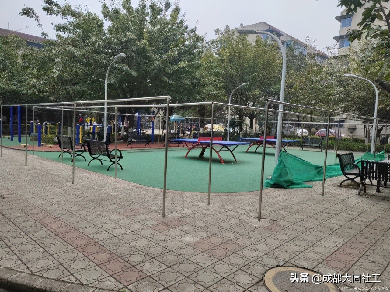 社工·社治|平臺(tái)對(duì)接——推進(jìn)天府藝術(shù)公園片區(qū)社區(qū)營(yíng)造(四)