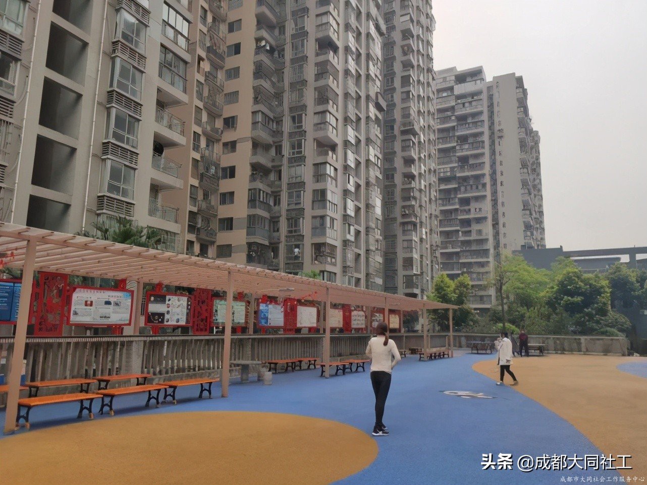 社工·社治|平臺(tái)對(duì)接——推進(jìn)天府藝術(shù)公園片區(qū)社區(qū)營(yíng)造(四)