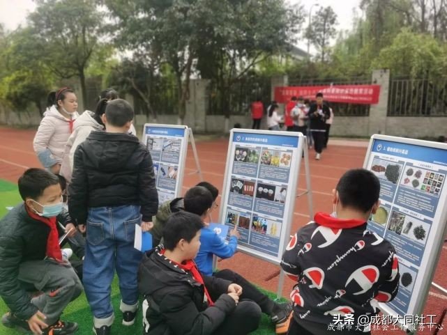 金牛禁毒｜“無毒青春，健康生活”禁毒科普知識宣傳教育活動(dòng)