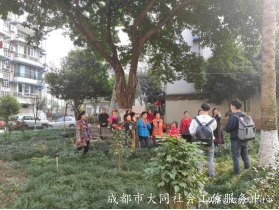 金牛百千萬 | 二月工作簡報