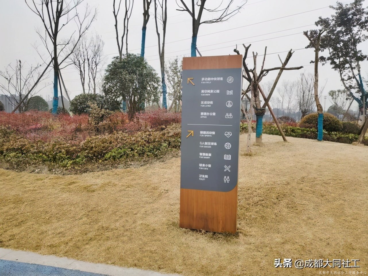社工·社治 | 推進(jìn)天府藝術(shù)公園周邊片區(qū)社區(qū)營造（二）