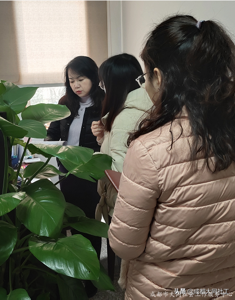 社工·社治 | 天府藝術(shù)公園周邊片區(qū)社區(qū)營造（一）