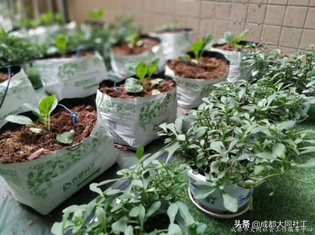 「金牛百千萬」走進九里堤，開展“微幸?！笔痉对郝渲笇?dǎo)工作